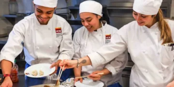 Cost of Culinary School