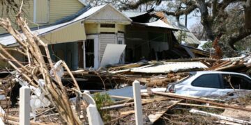 Why Professional Debris Removal is Essential for Homeowners